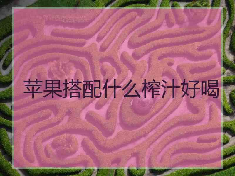 苹果搭配什么榨汁好喝