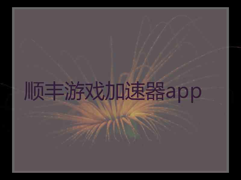 顺丰游戏加速器app