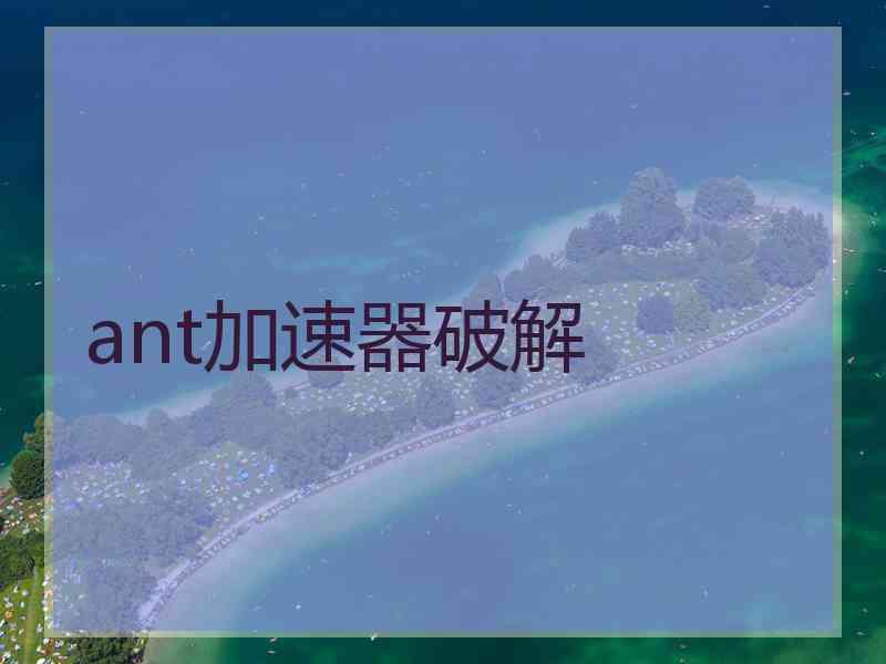 ant加速器破解