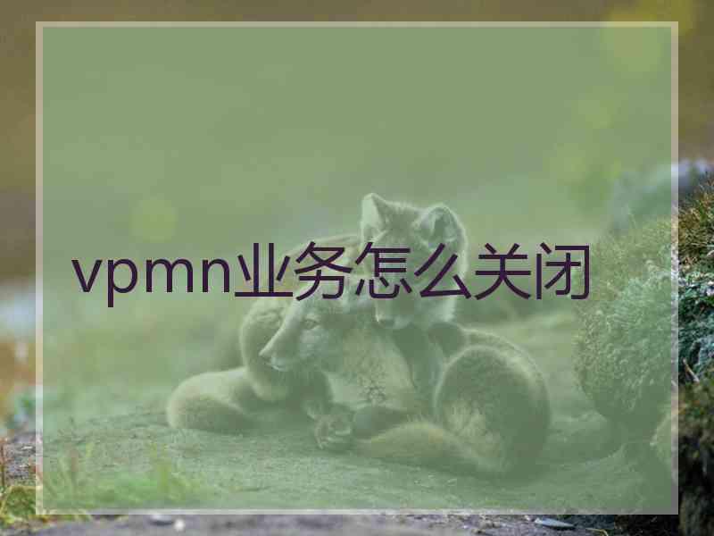 vpmn业务怎么关闭