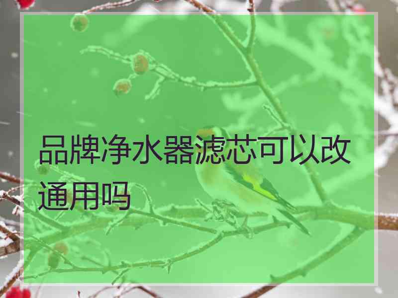 品牌净水器滤芯可以改通用吗