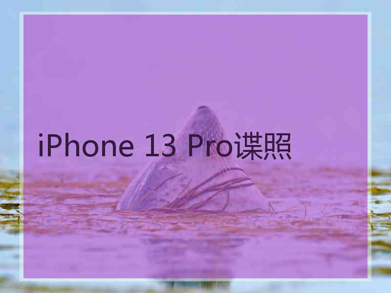 iPhone 13 Pro谍照