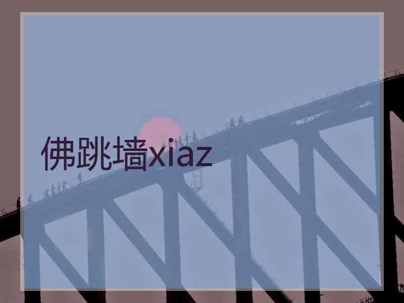 佛跳墙xiaz