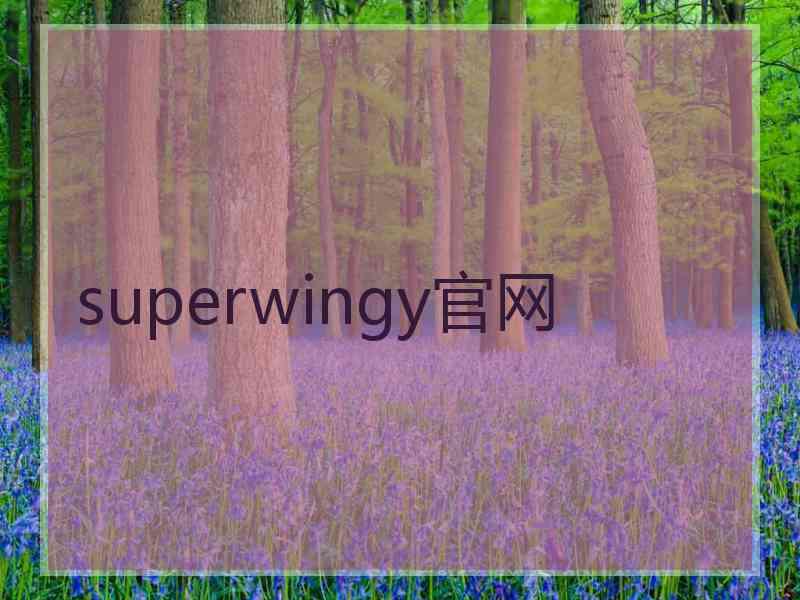 superwingy官网