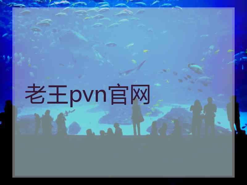 老王pvn官网