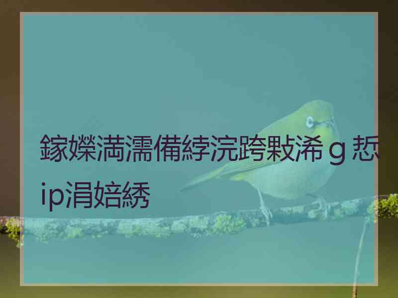 鎵嬫満濡備綍浣跨敤浠ｇ悊ip涓婄綉