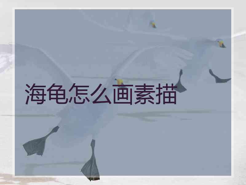 海龟怎么画素描