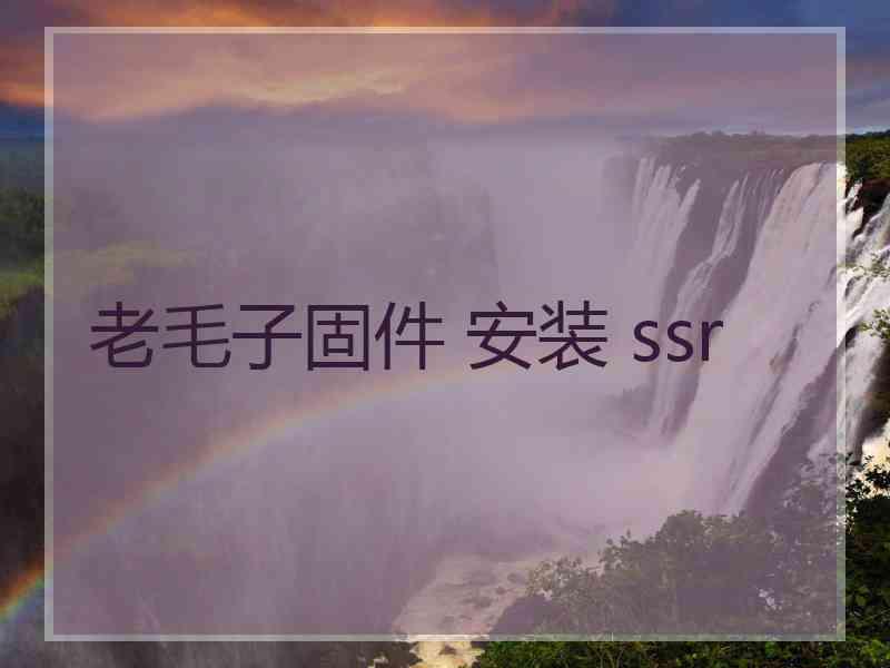 老毛子固件 安装 ssr