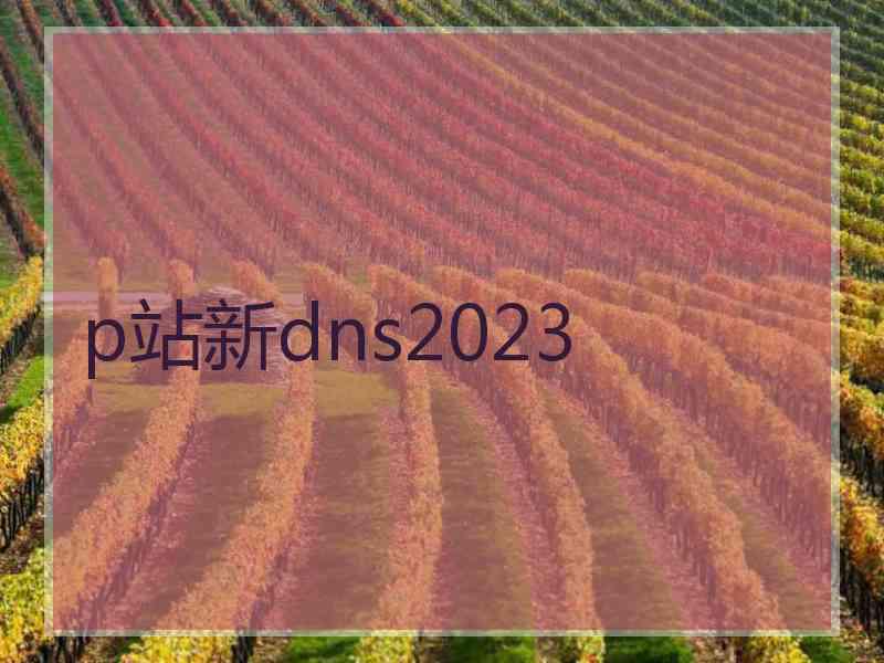 p站新dns2023