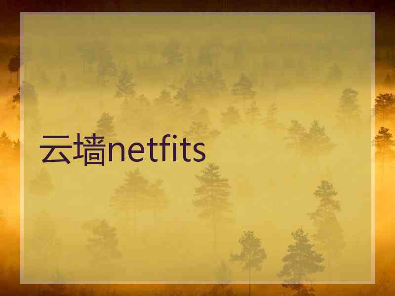 云墙netfits