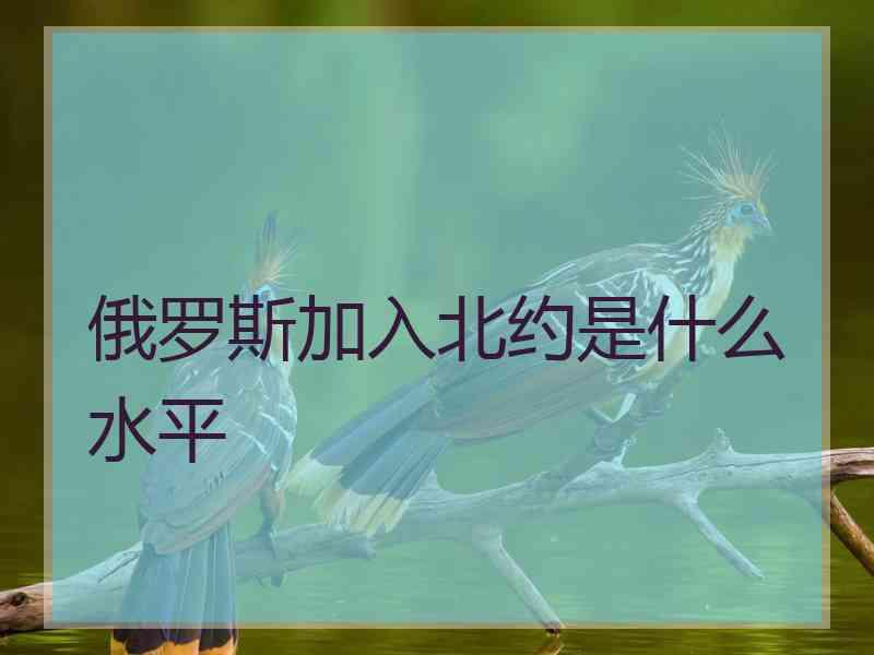 俄罗斯加入北约是什么水平