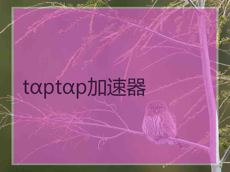 tαptαp加速器