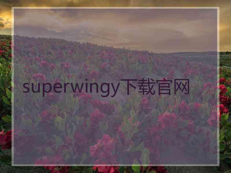 superwingy下载官网