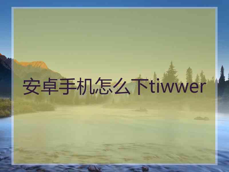 安卓手机怎么下tiwwer