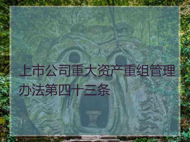 上市公司重大资产重组管理办法第四十三条