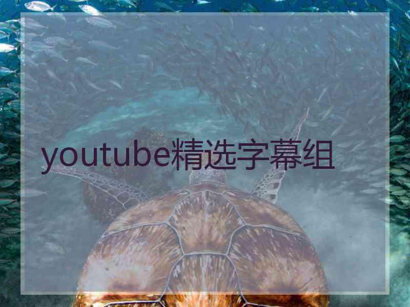 youtube精选字幕组