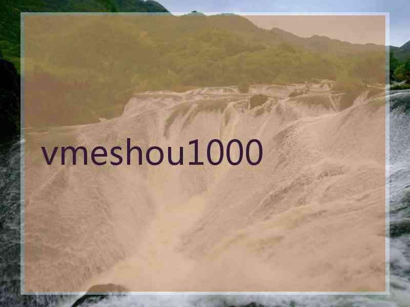 vmeshou1000