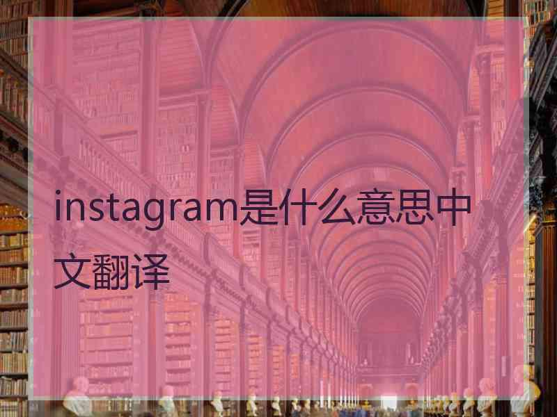 instagram是什么意思中文翻译