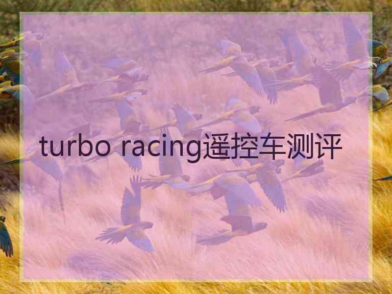 turbo racing遥控车测评