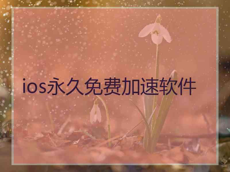 ios永久免费加速软件