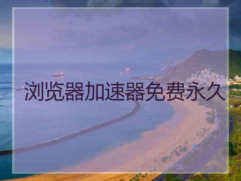 浏览器加速器免费永久