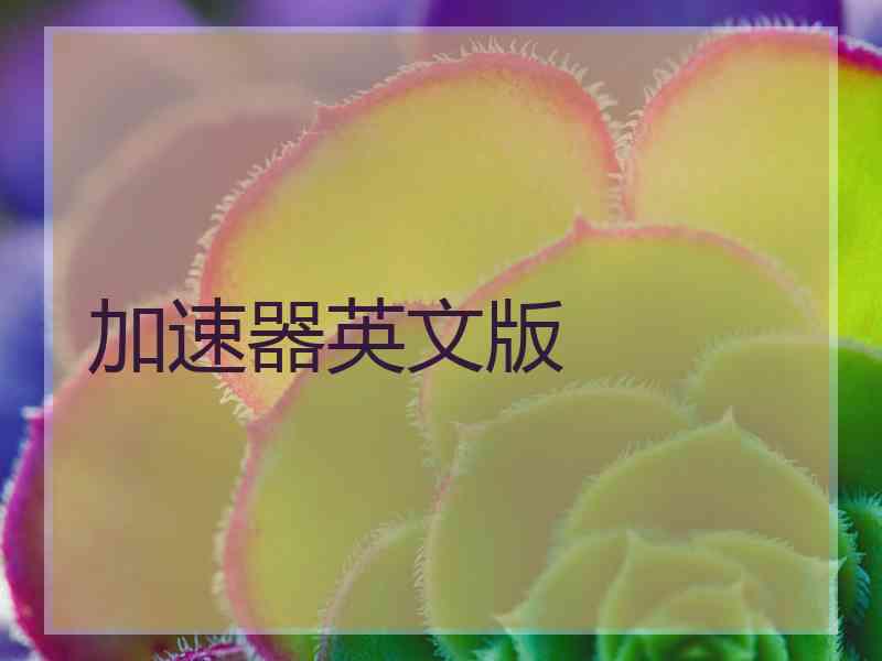 加速器英文版