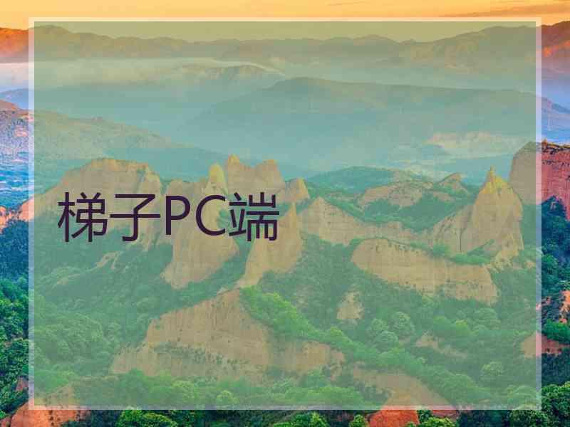 梯子PC端