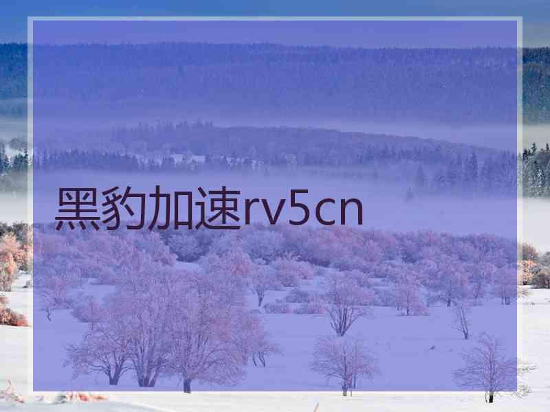 黑豹加速rv5cn