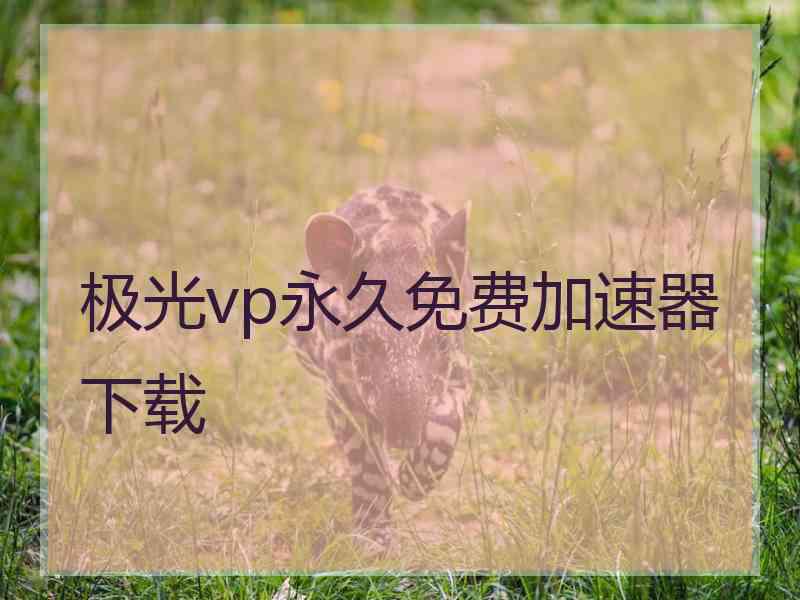 极光vp永久免费加速器下载