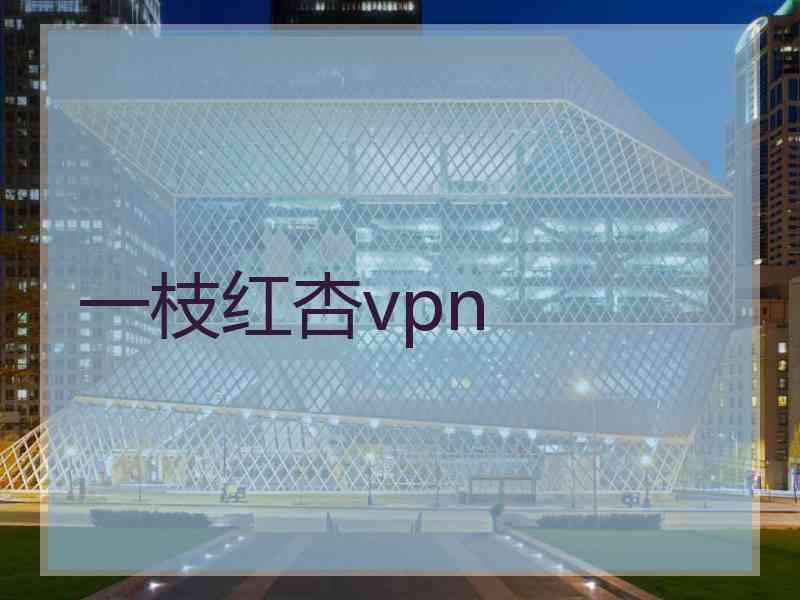 一枝红杏vpn