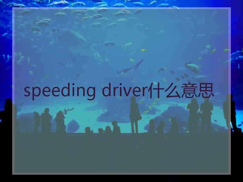 speeding driver什么意思