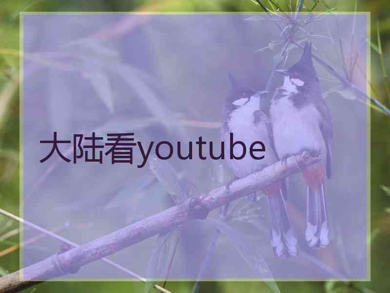 大陆看youtube