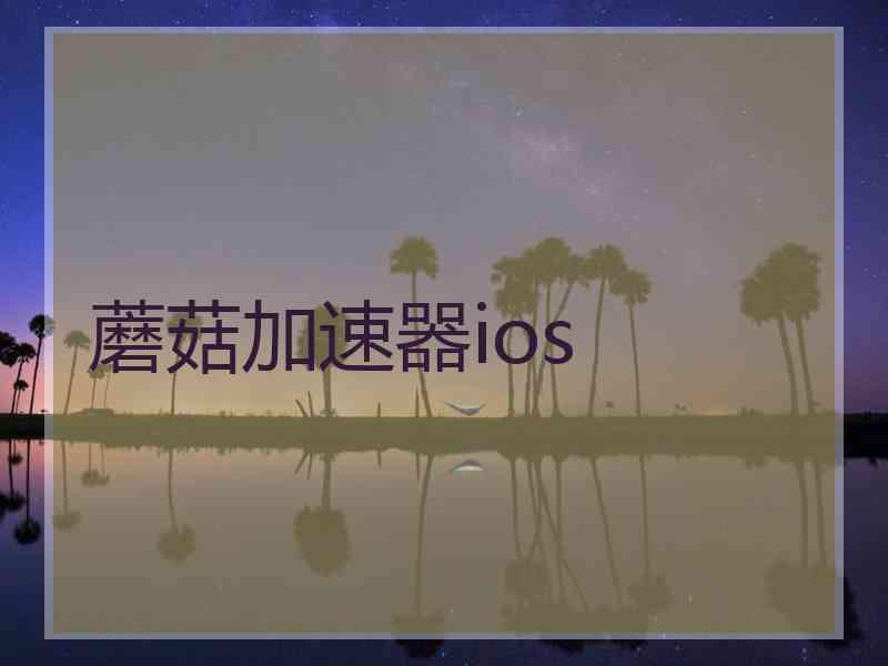 蘑菇加速器ios