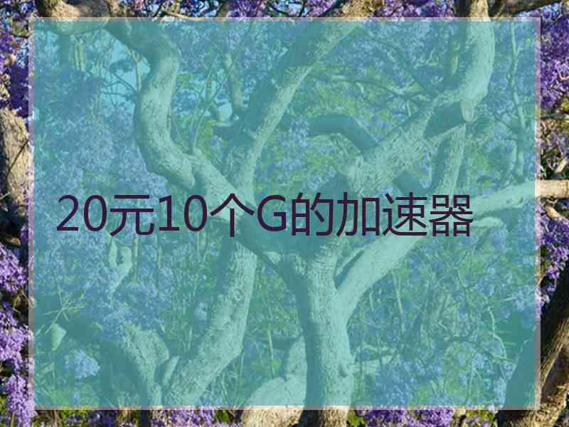 20元10个G的加速器