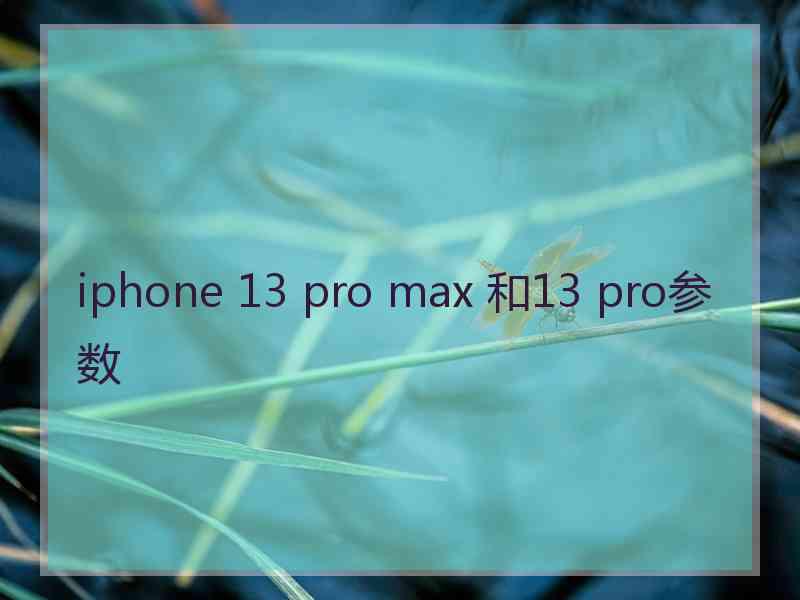 iphone 13 pro max 和13 pro参数