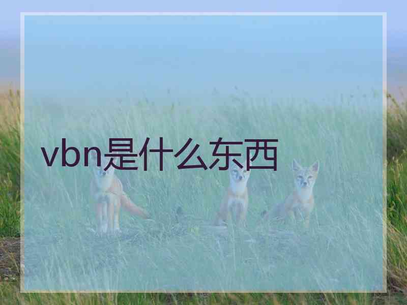 vbn是什么东西