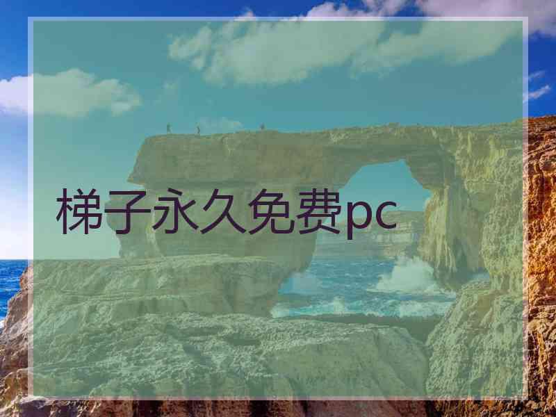 梯子永久免费pc