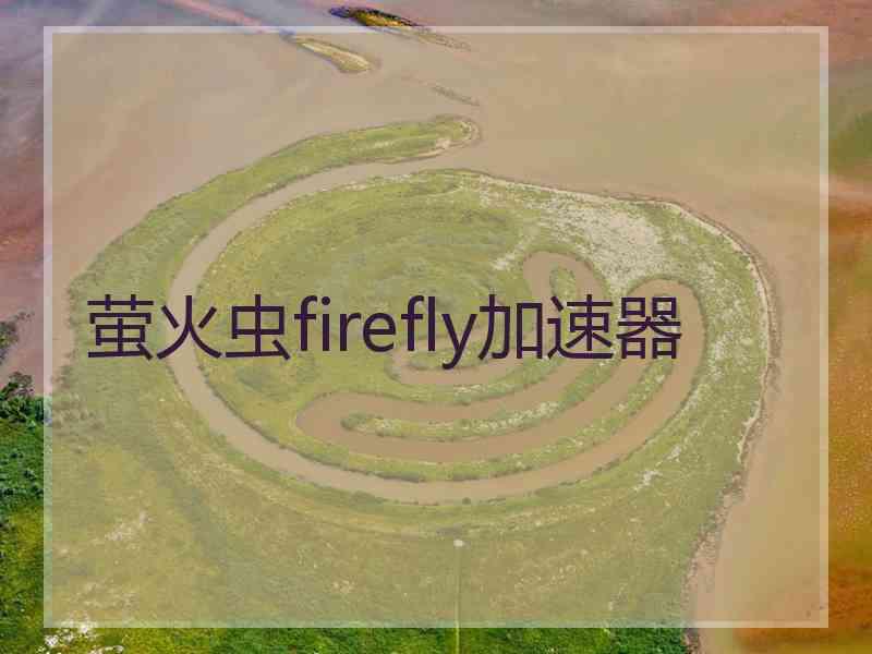 萤火虫firefly加速器