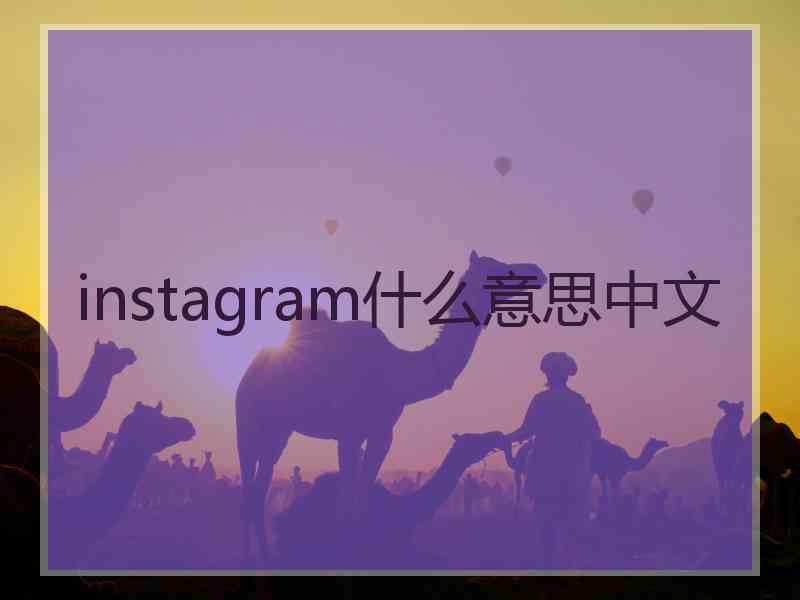 instagram什么意思中文