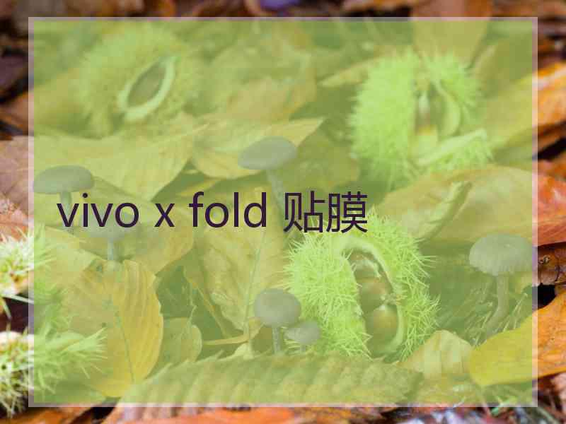 vivo x fold 贴膜