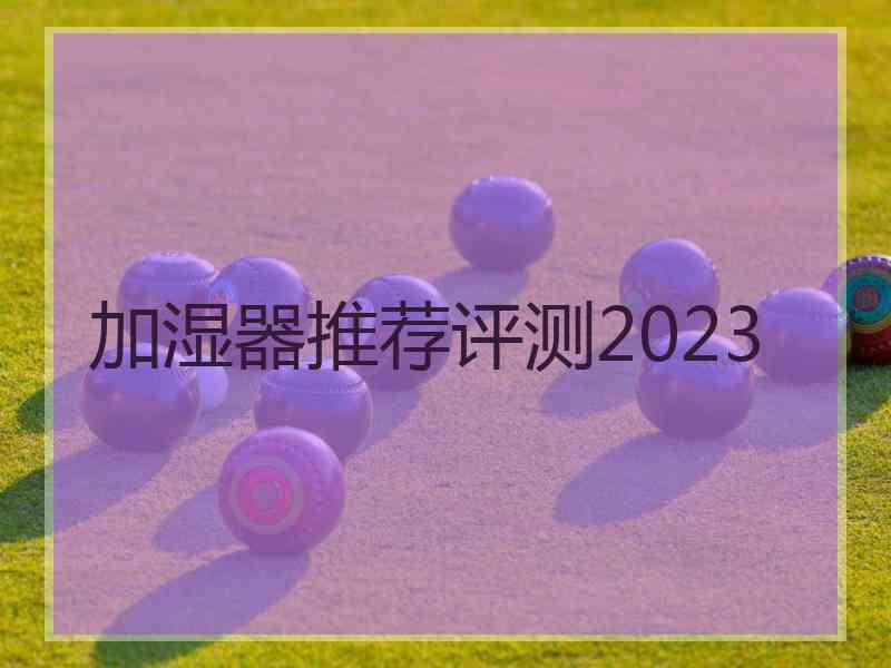 加湿器推荐评测2023