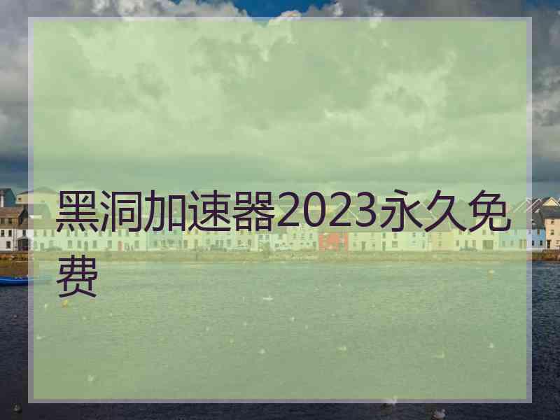 黑洞加速器2023永久免费