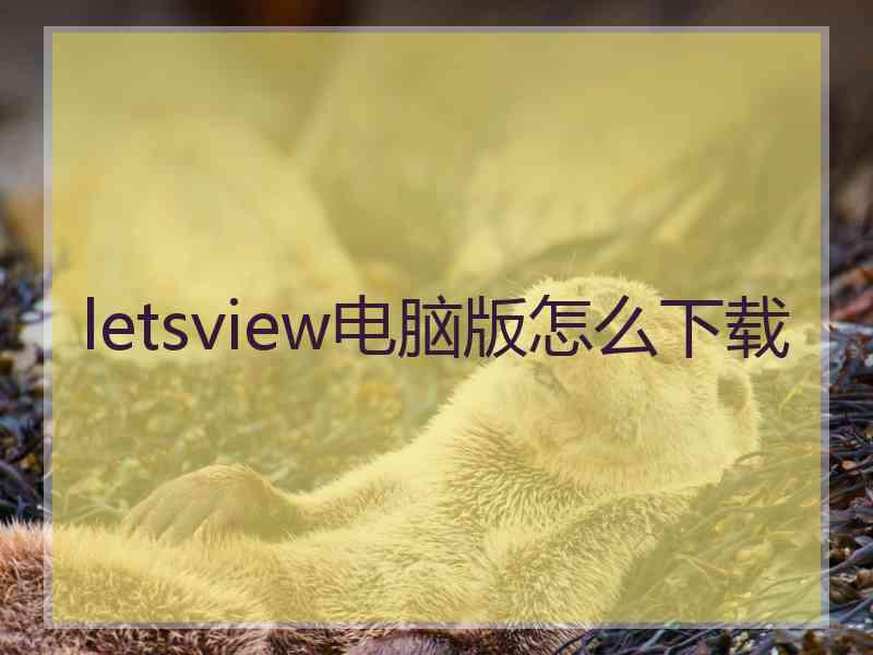 letsview电脑版怎么下载