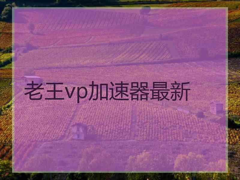 老王vp加速器最新