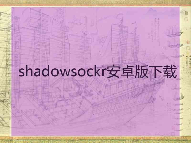 shadowsockr安卓版下载