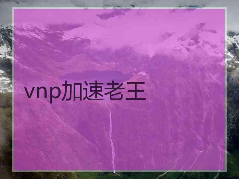 vnp加速老王