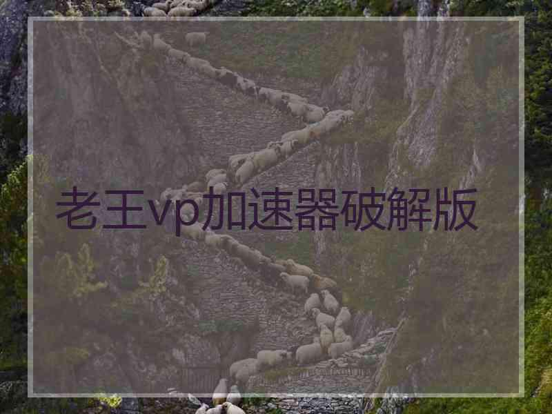 老王vp加速器破解版