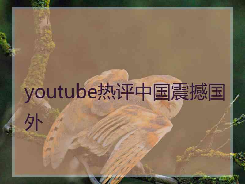 youtube热评中国震撼国外